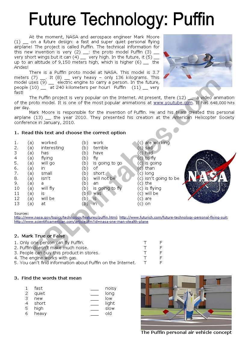 Future Technology Puffin  worksheet