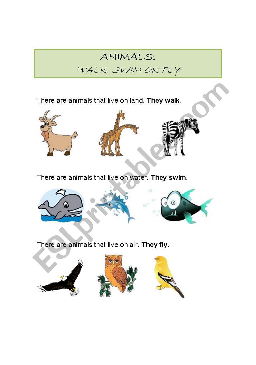 Animals that walk, swim or fly.