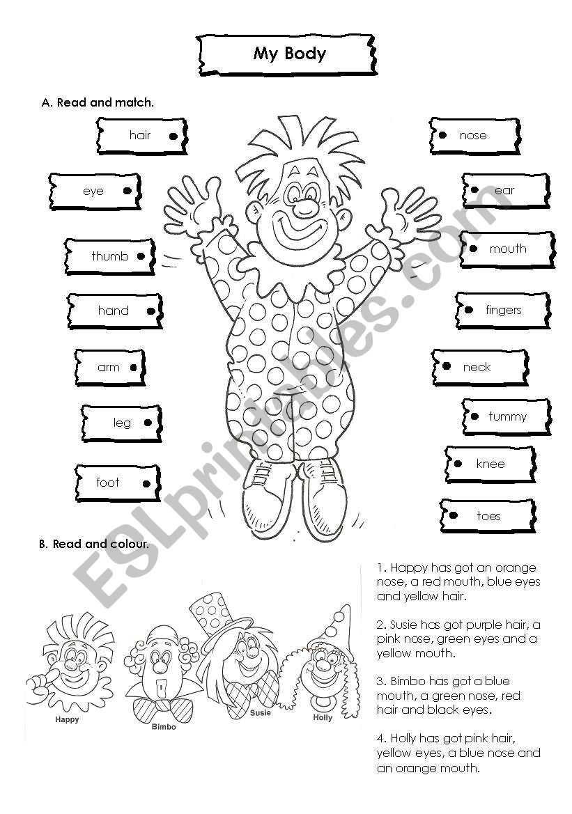 Body and Colours worksheet