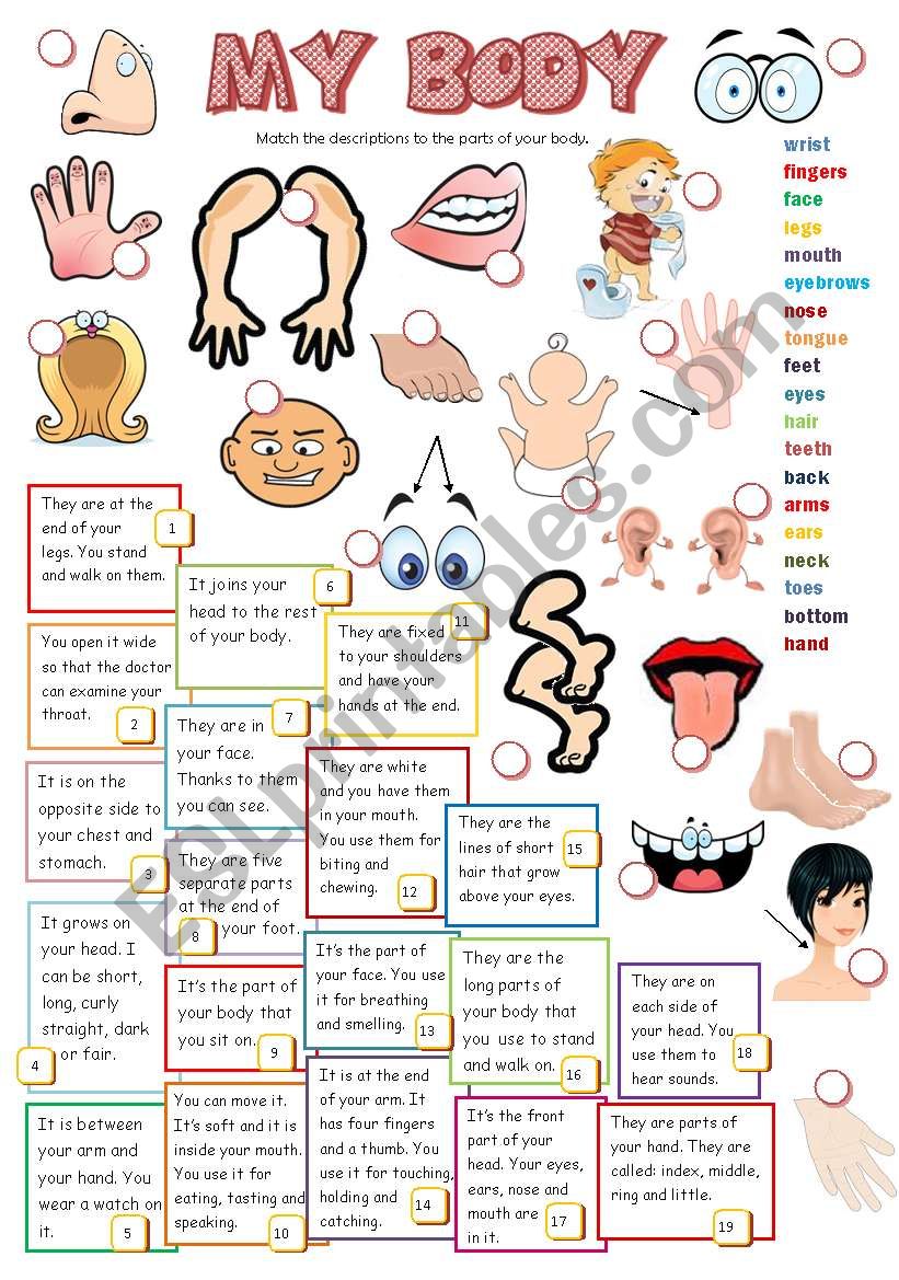 MY BODY (B&W + KEY included) worksheet