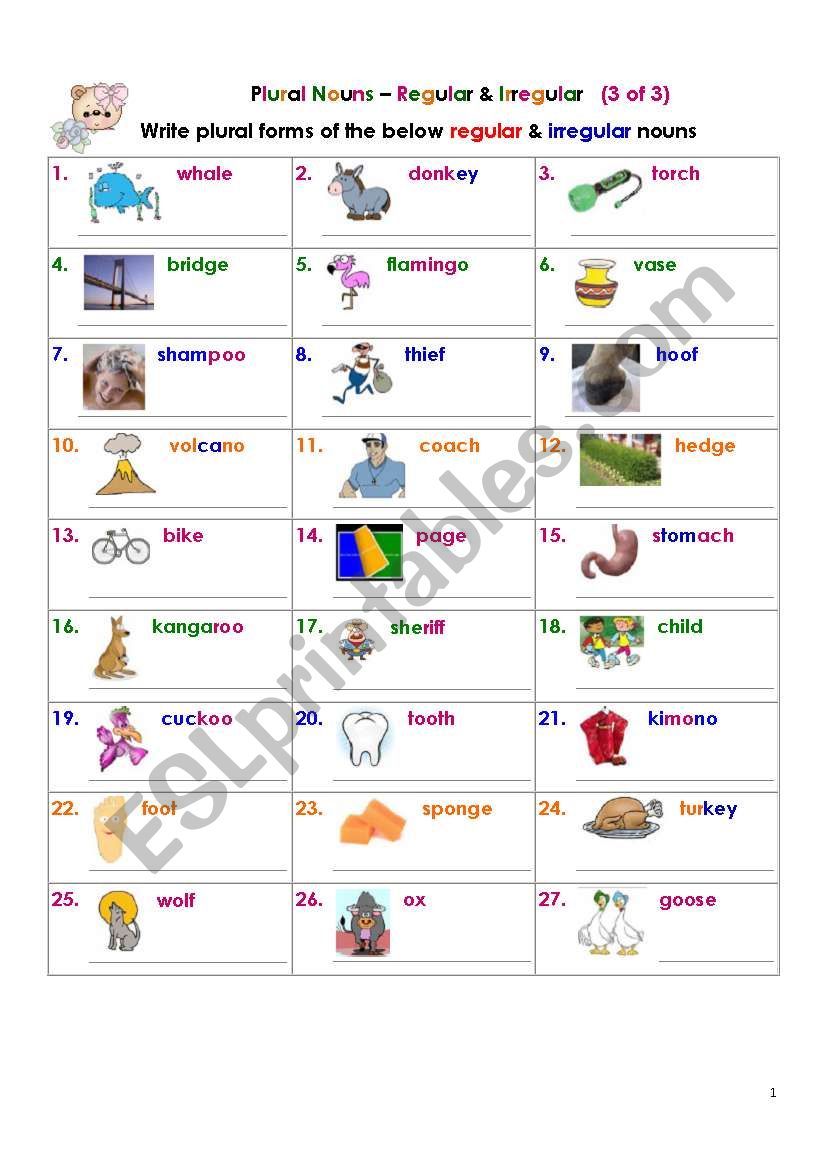 Plural Nouns  Regular & Irregular (3 of 3)