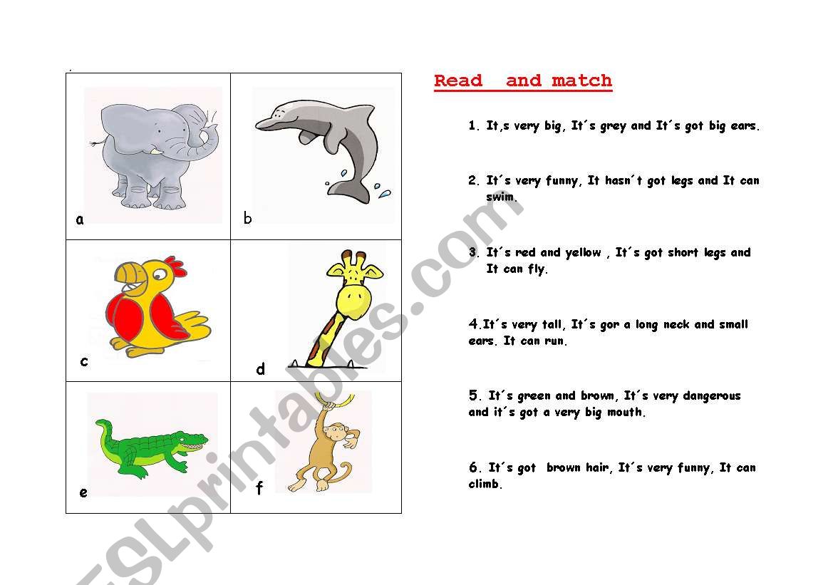 Read and match, animals worksheet