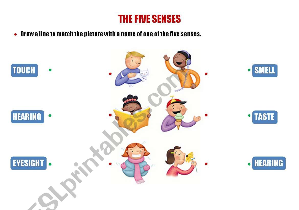 THE FIVE SENSES worksheet