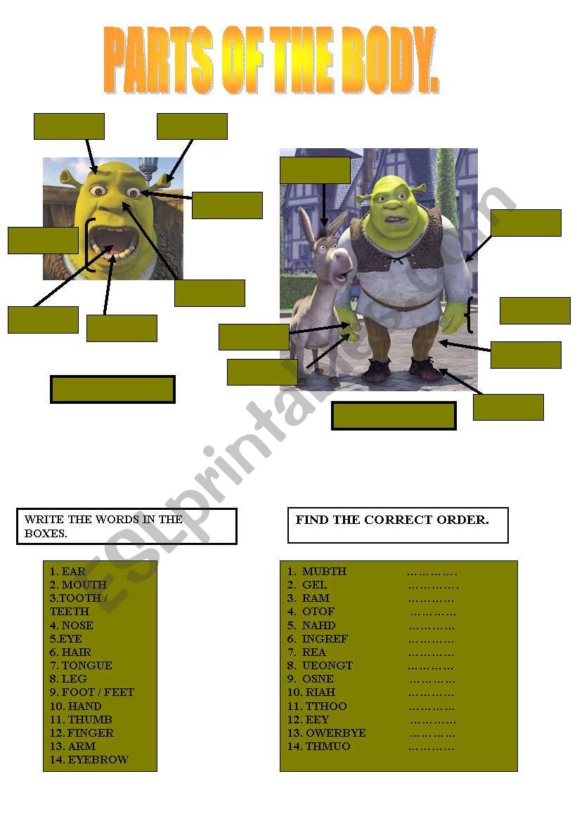 SHREK AND PARTS OF THE BODY worksheet