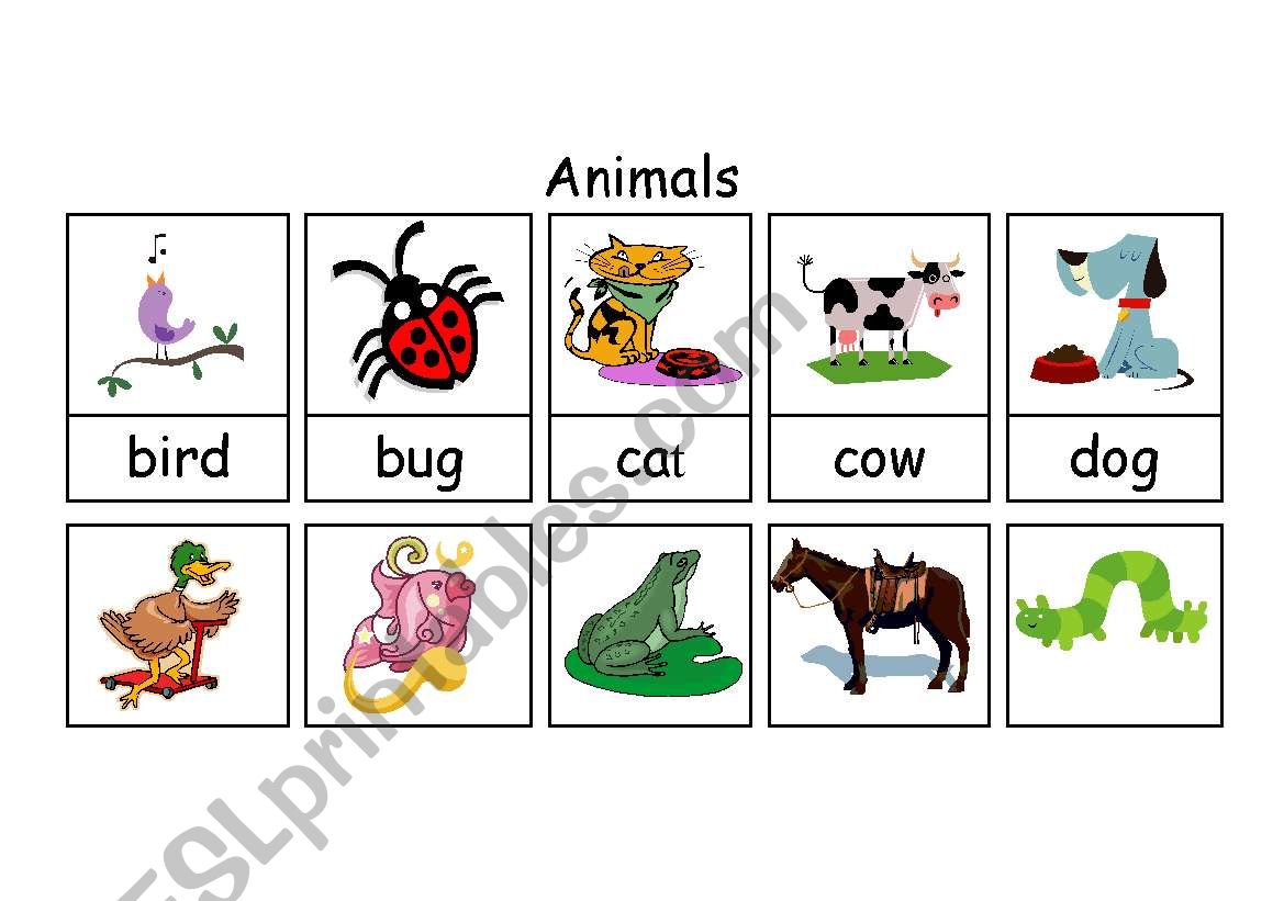 farm animals dictionary worksheet