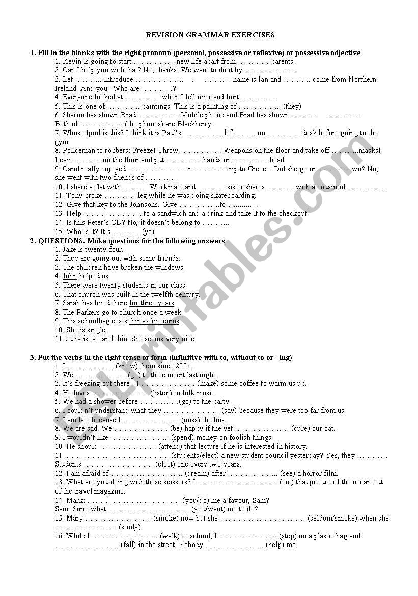 Revision grammar exercises worksheet