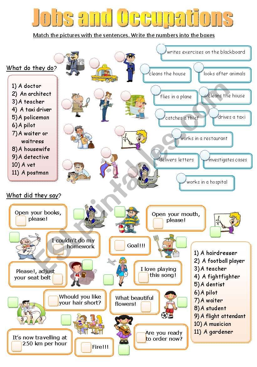 JOBS AND OCCUPATIONS (fully editable!!!)