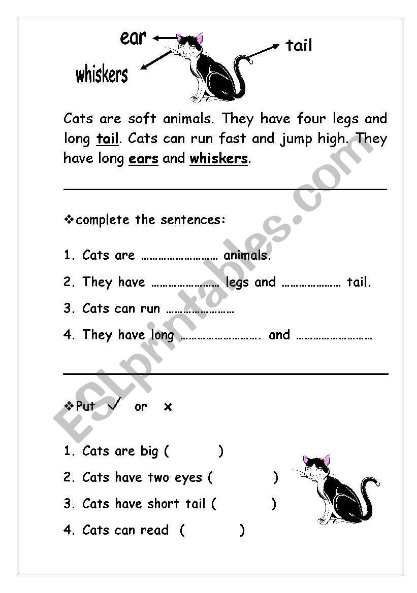 farm animals worksheet