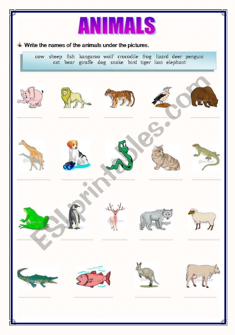 ANIMALS worksheet