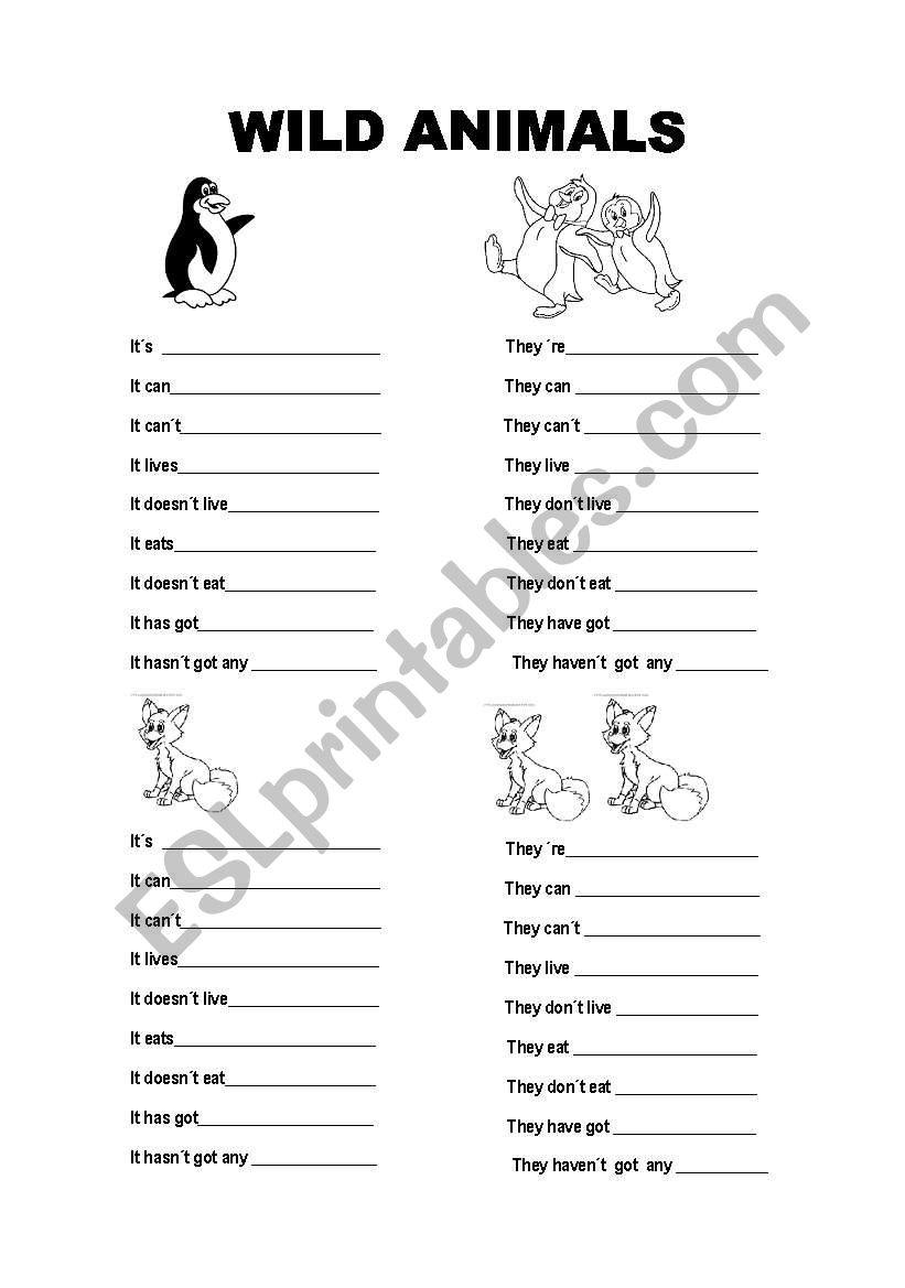 Describe these wild animals worksheet