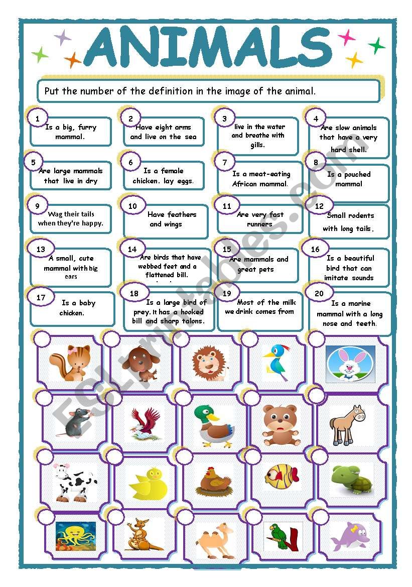 Animals worksheet