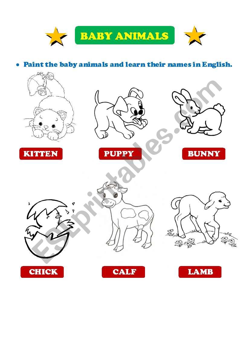 BABY ANIMALS worksheet