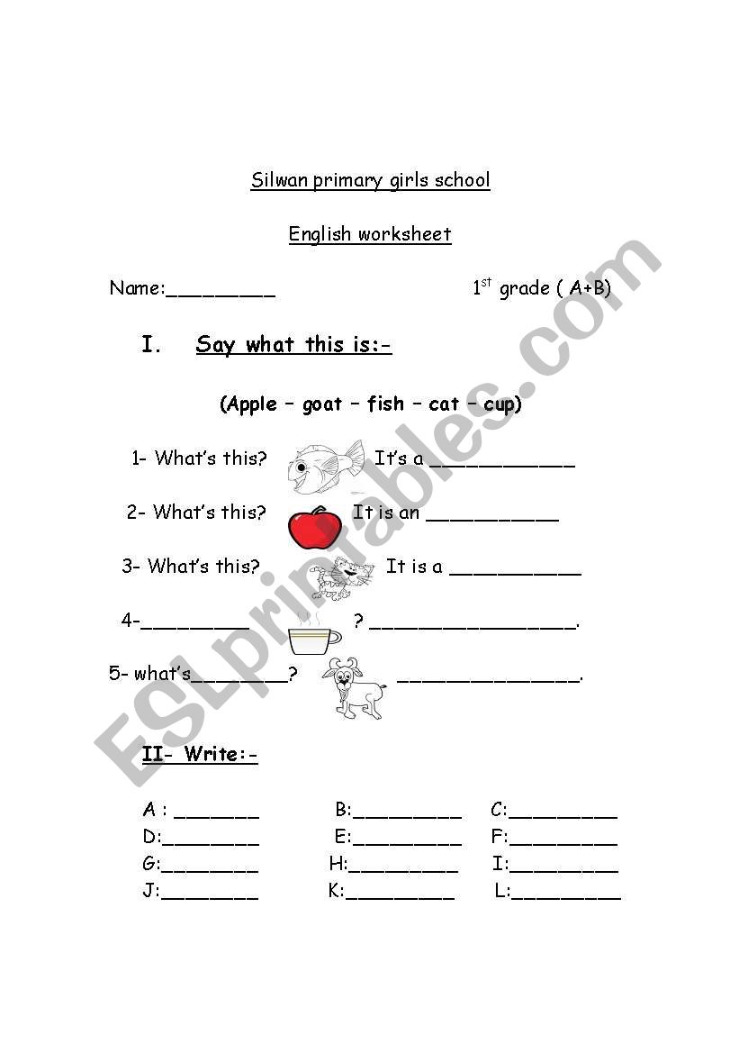 yes - no questions worksheet