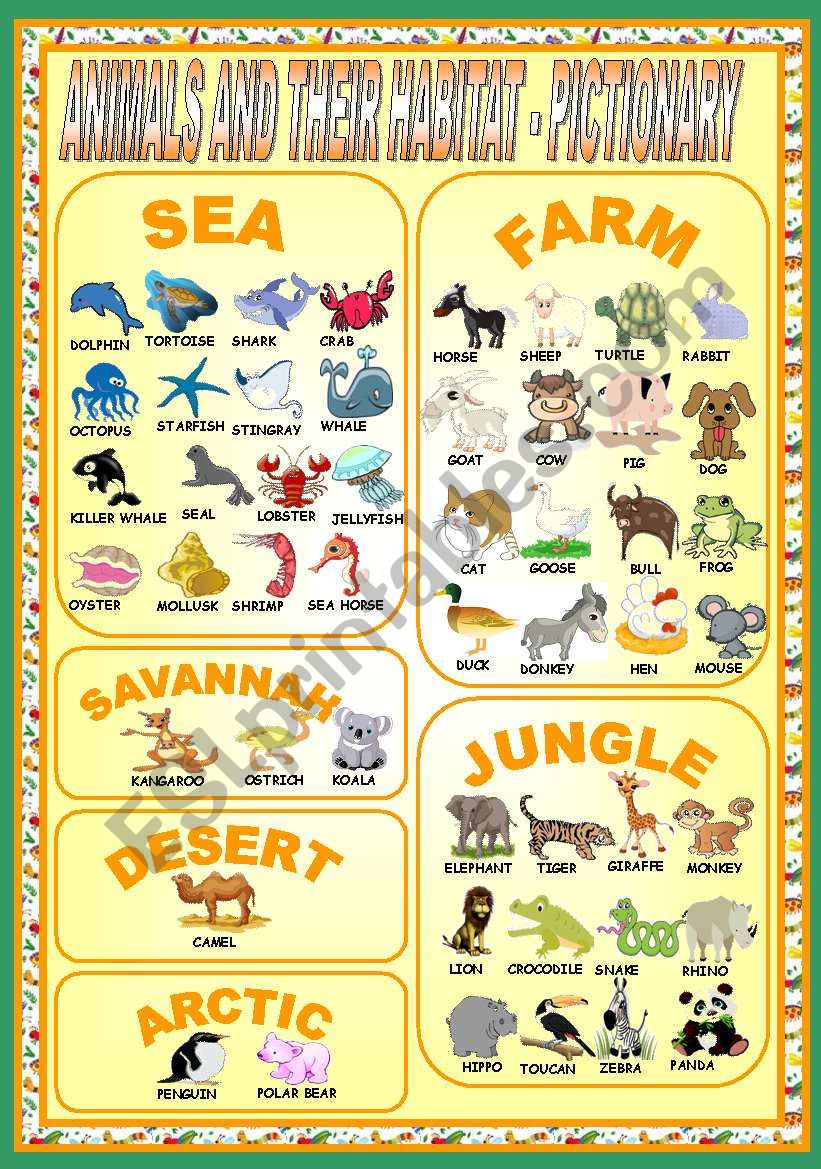 ANIMALS AND THEIR HABITAT - PICTIONARY - ESL worksheet by ag23