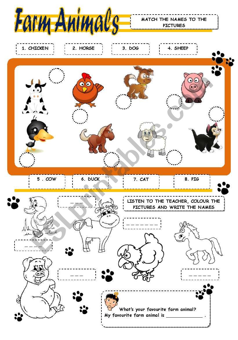 Farm Animals worksheet