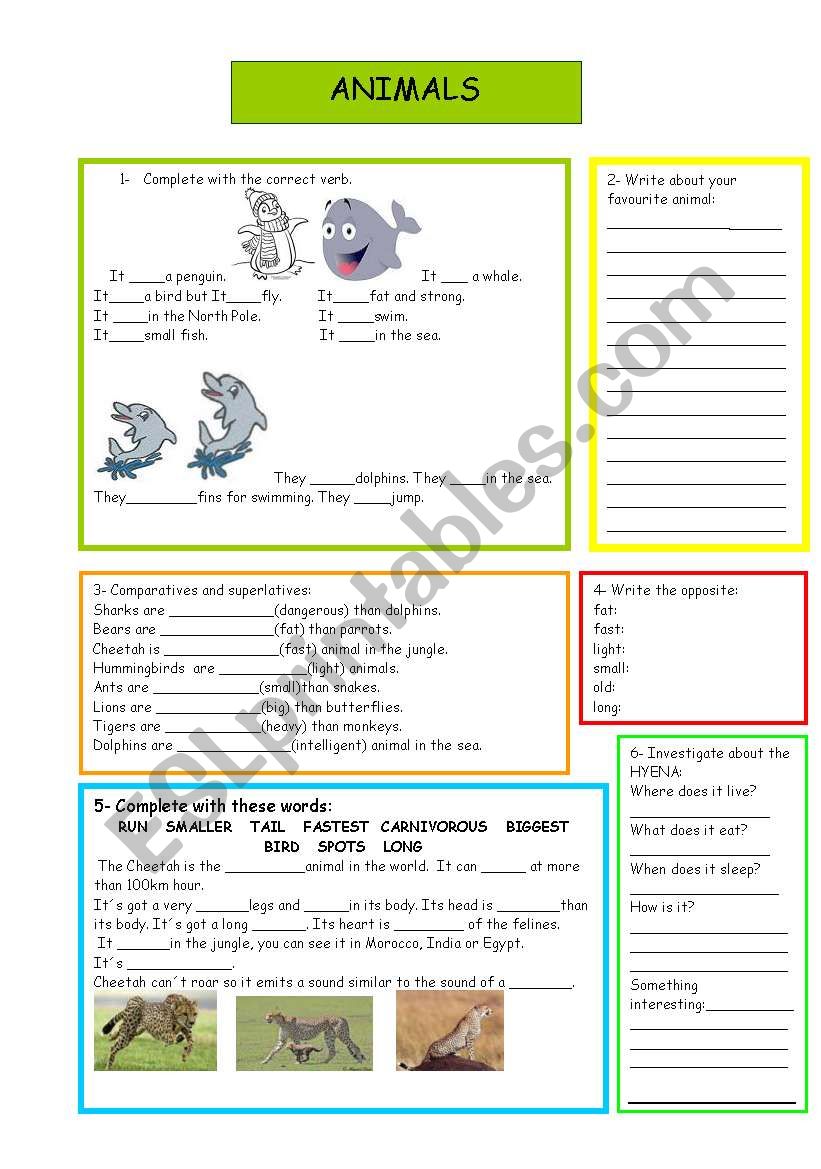 ANIMALS worksheet