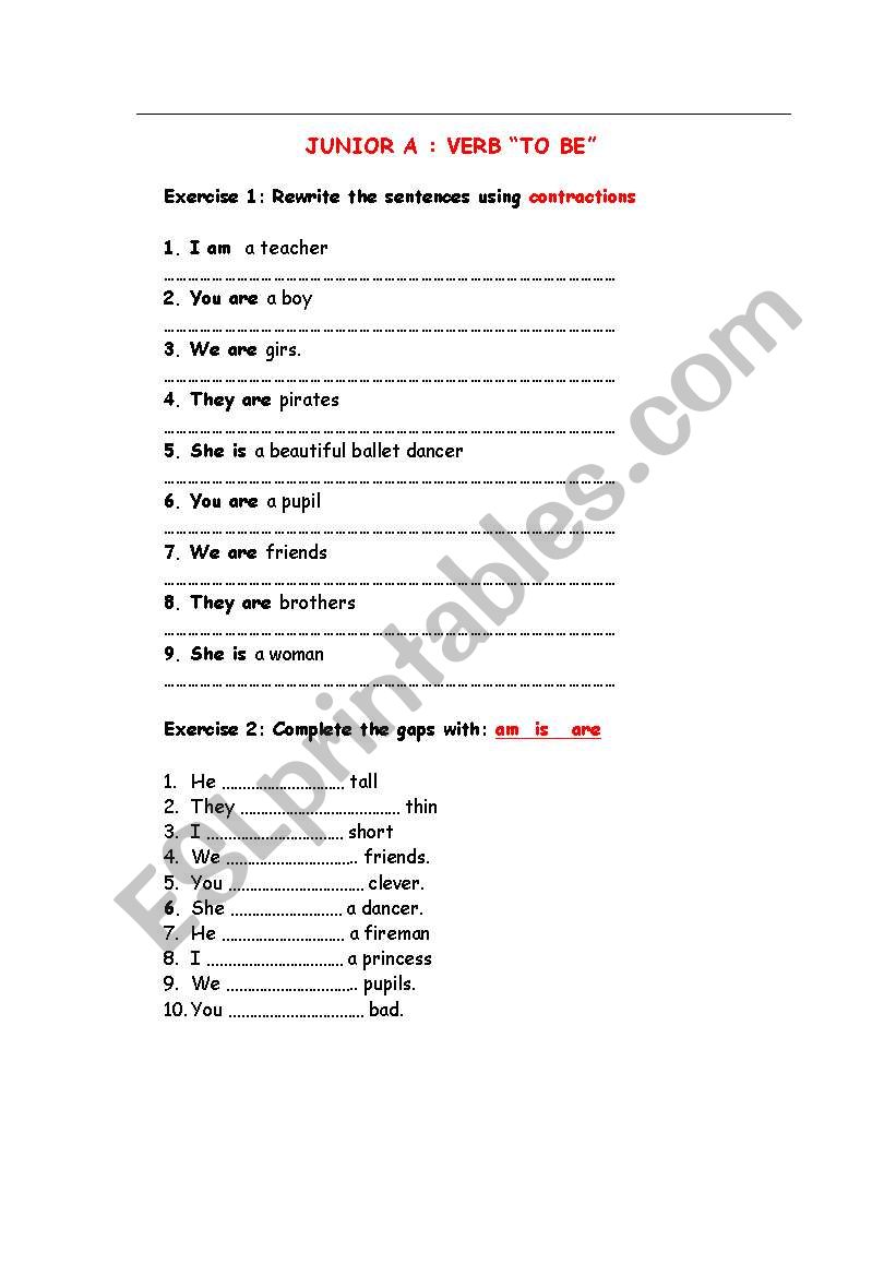 The Verb  worksheet