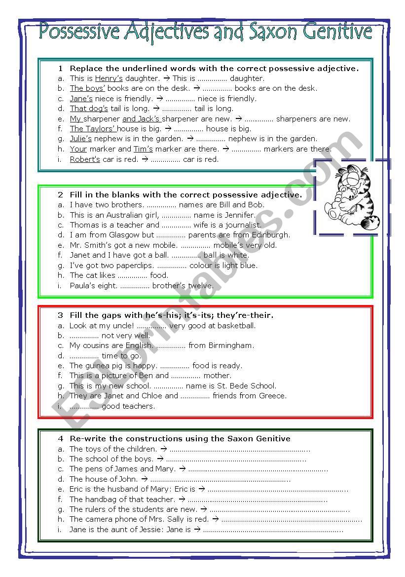 Possessive adjectives and saxon genitive