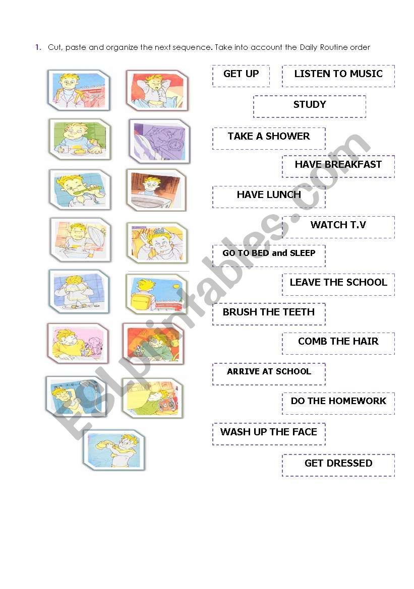 Daily Routine  worksheet