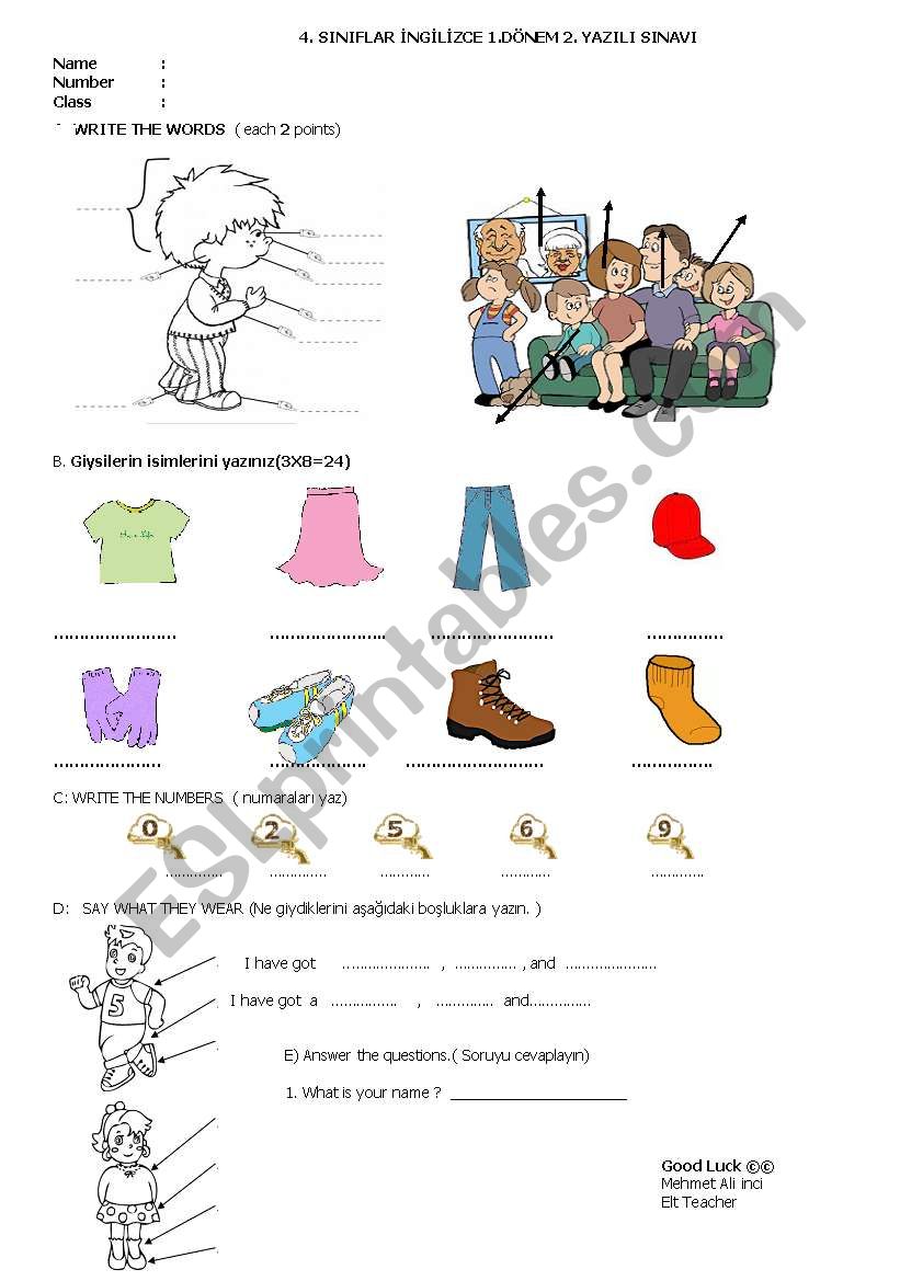 snav worksheet