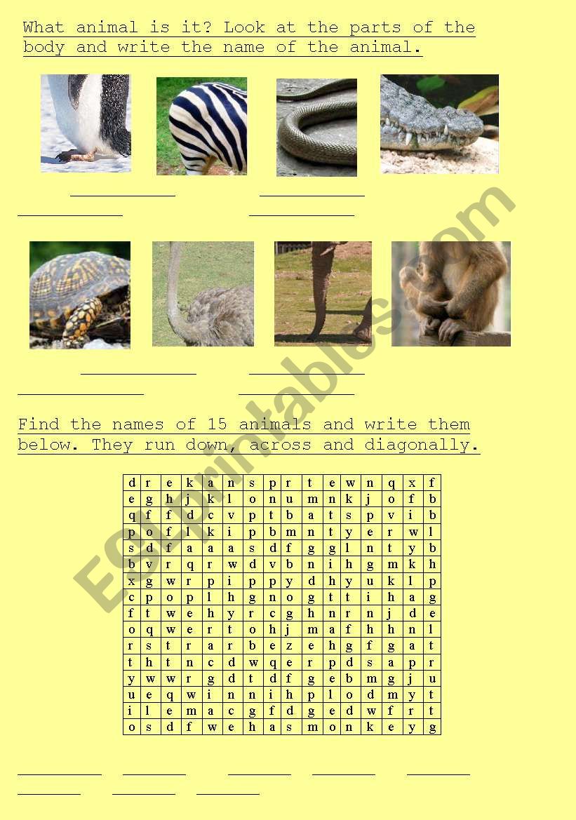 ANIMALS worksheet