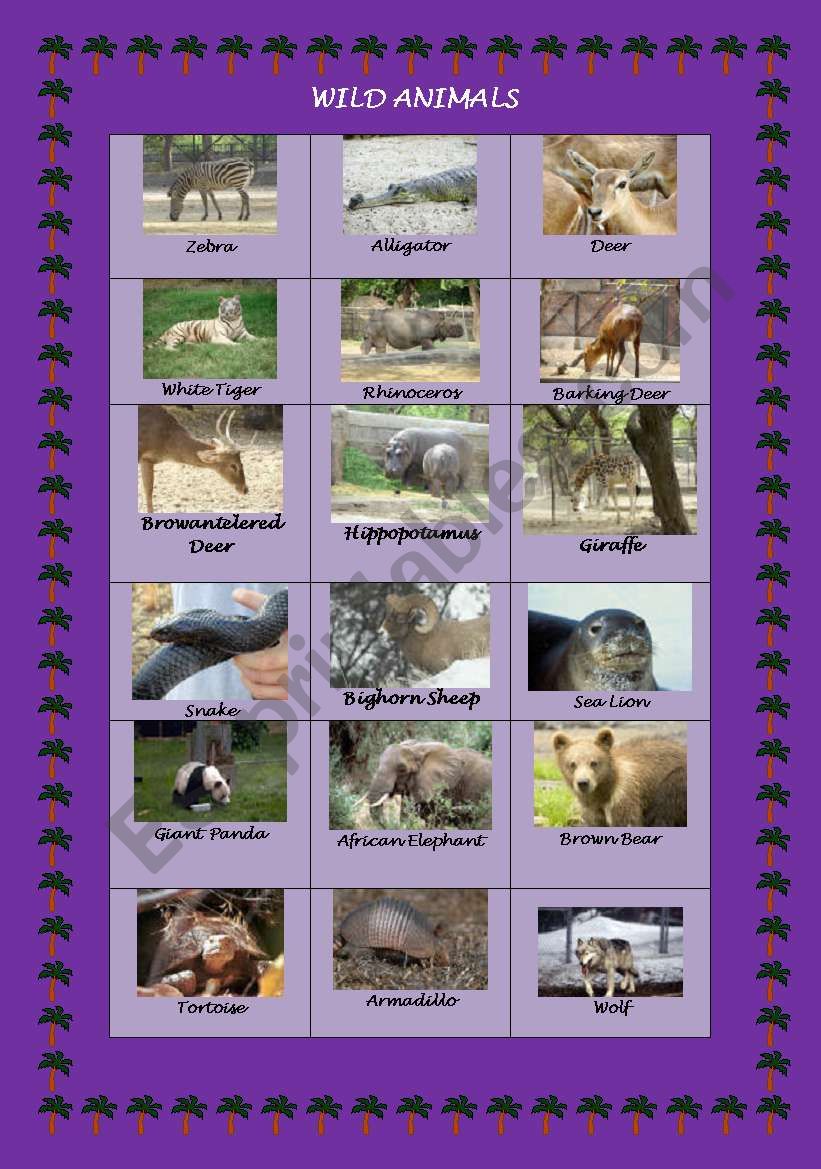 Wild animals worksheet