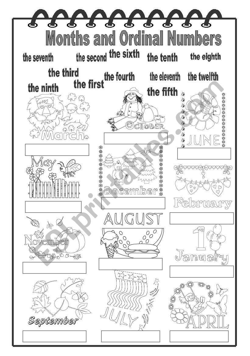 Months and Ordinal Numbers worksheet