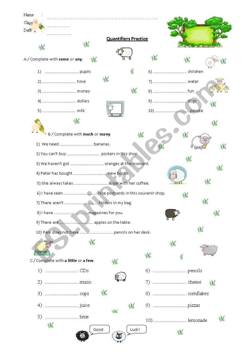 Quantifiers practice worksheet