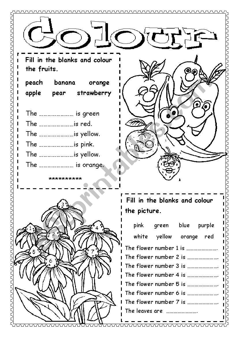 colour worksheet