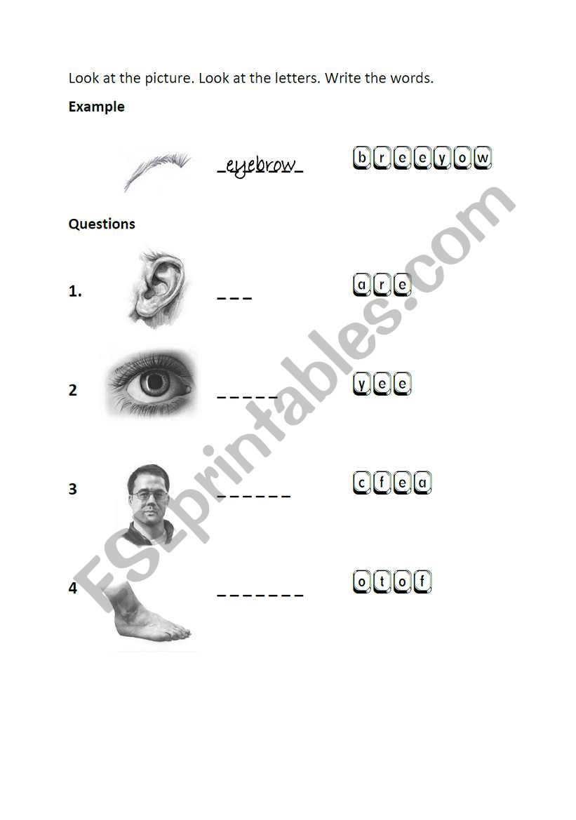 BODY PARTS worksheet