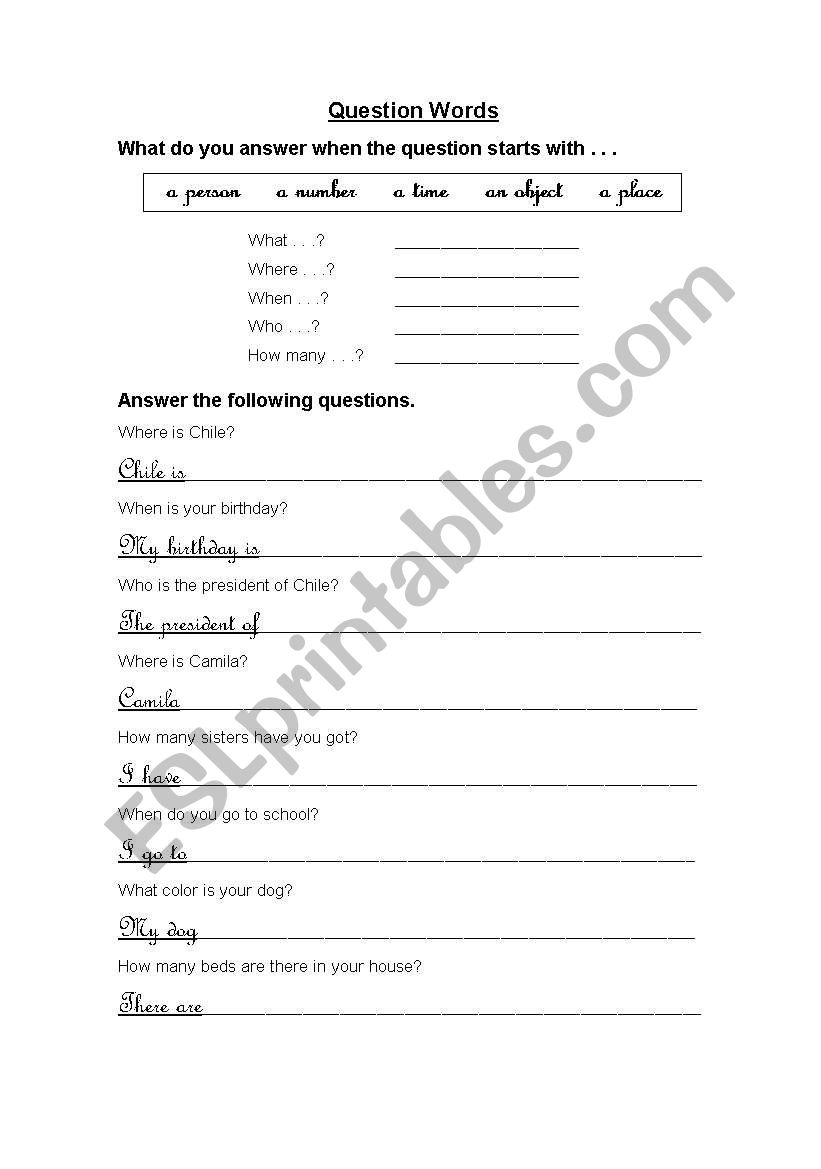 Question words worksheet