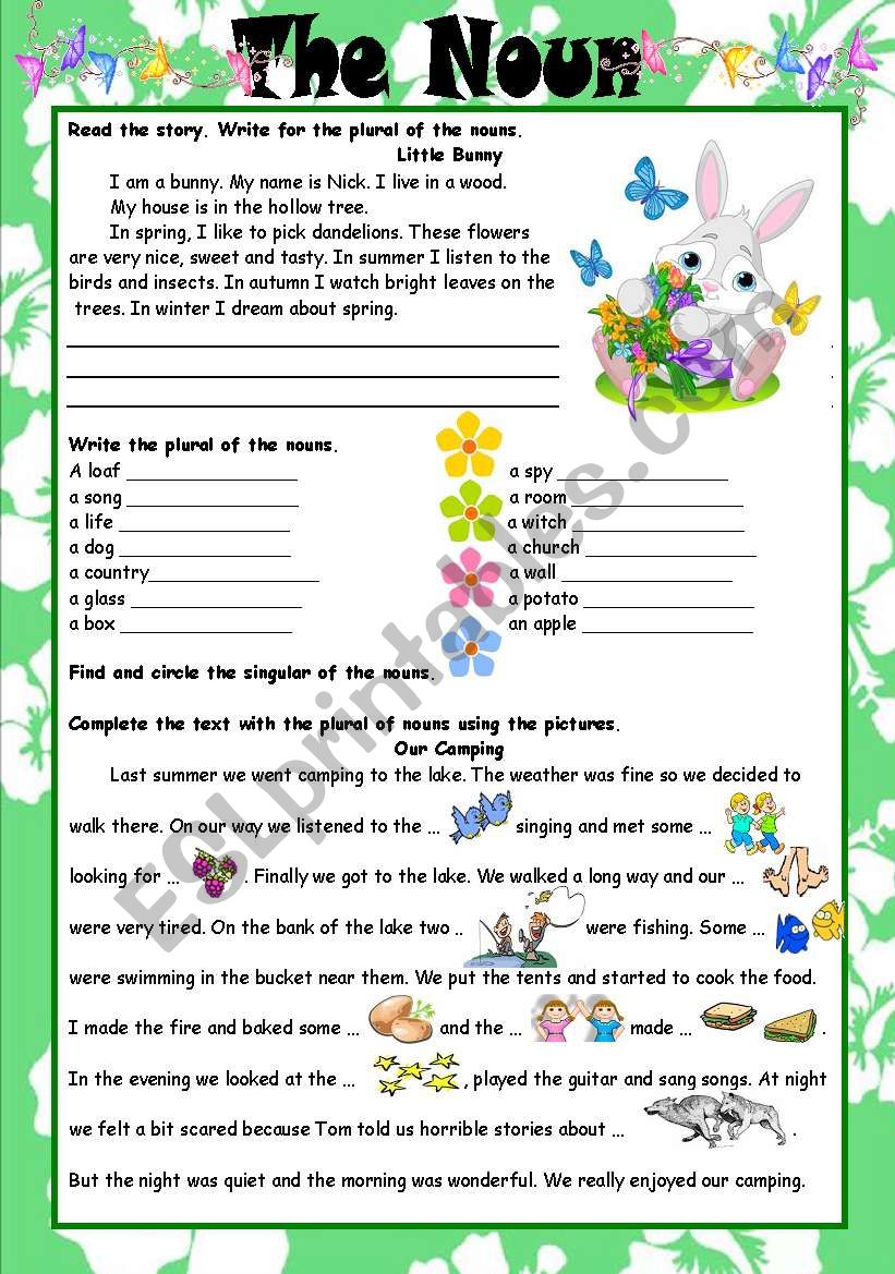 The Noun worksheet