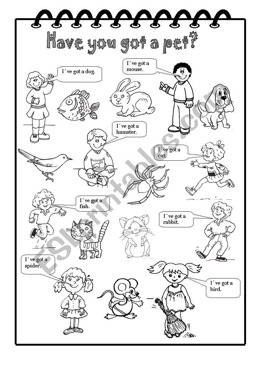 Have you got a pet? worksheet