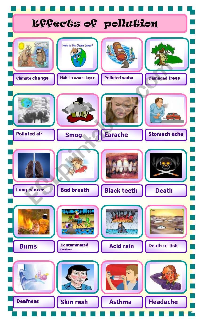 effects of pollution pictionary