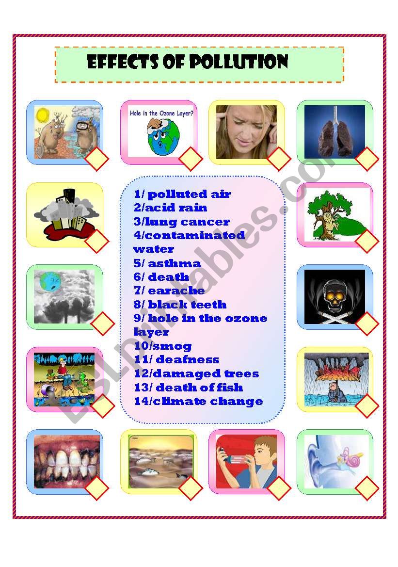 effects of pollution matching worksheet