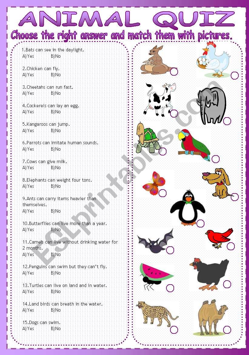 ANIMAL QUIZ worksheet