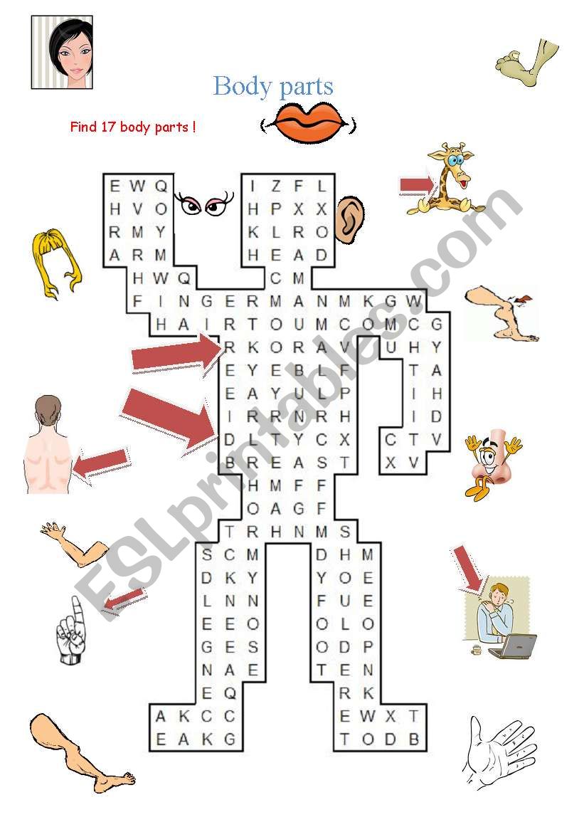 body parts worksheet