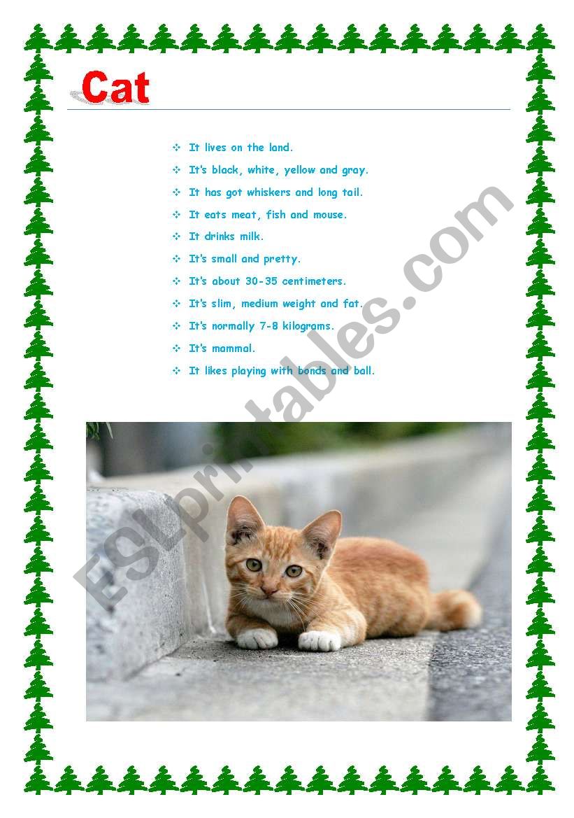 animals worksheet