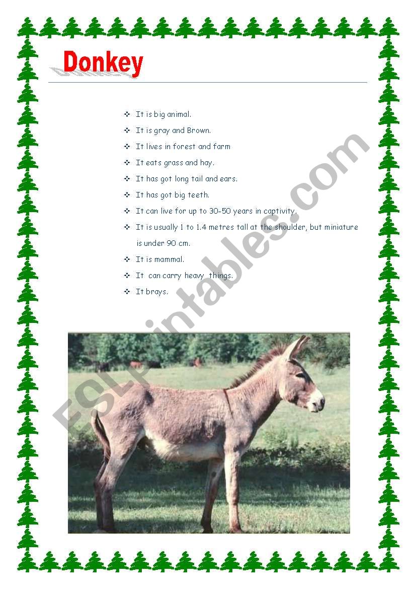 animals worksheet