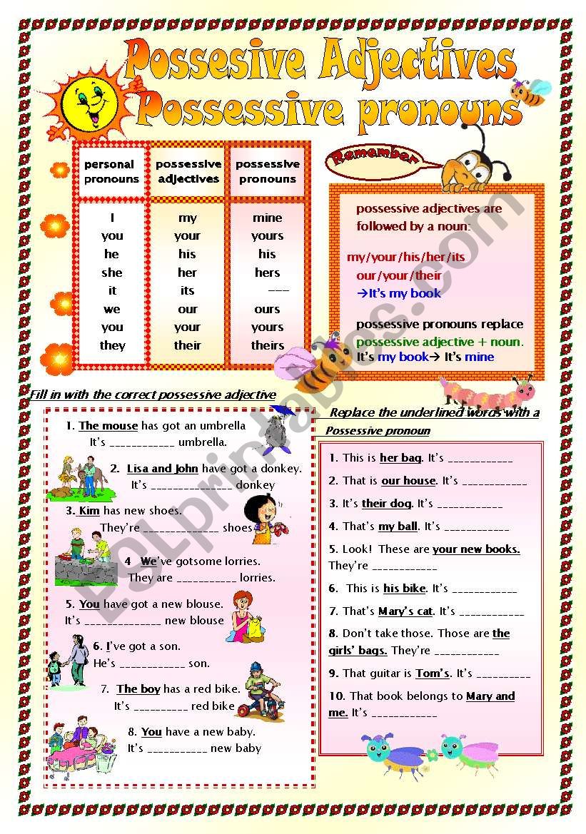 POSSESSIVE ADJECTIVES - POSSESSIVE PRONOUNS