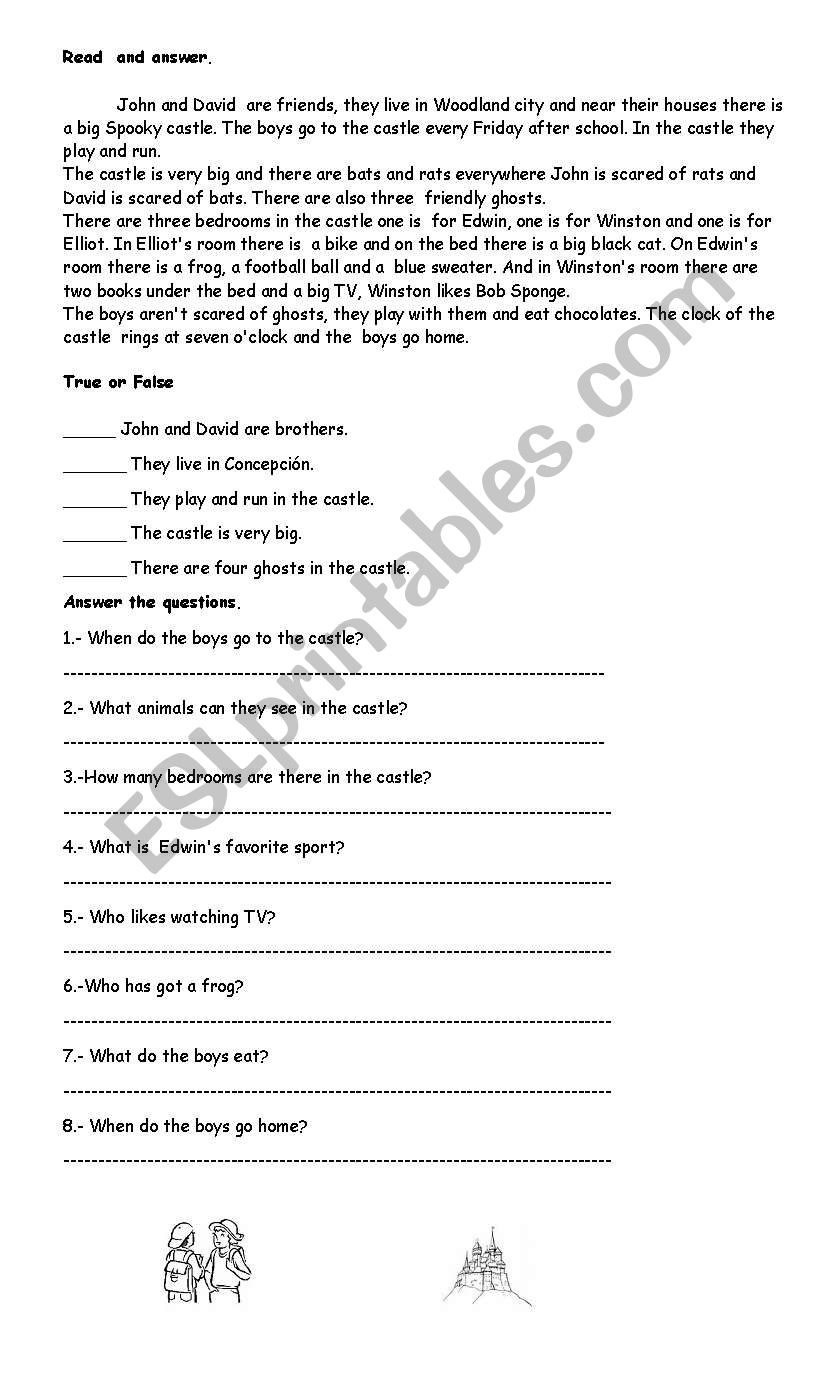 The Castle  worksheet