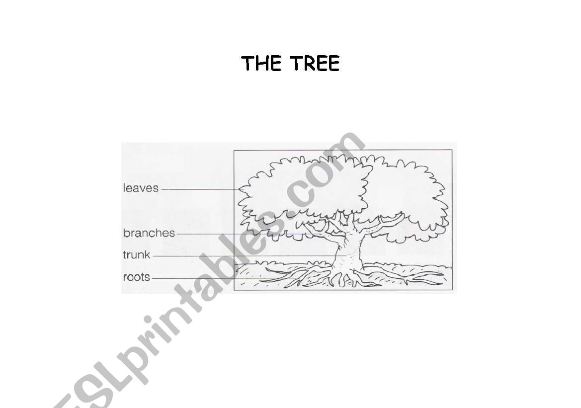 The tree worksheet