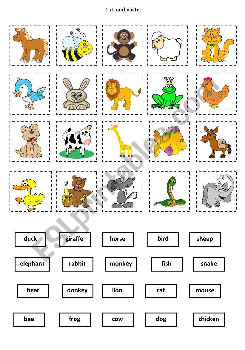 Animals - cut and paste worksheet