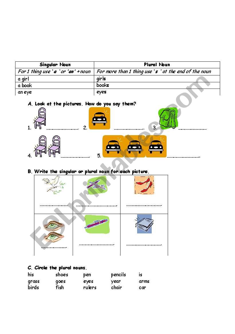 singular and plural nouns worksheet