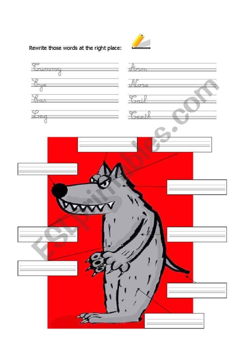 Parts of the body worksheet