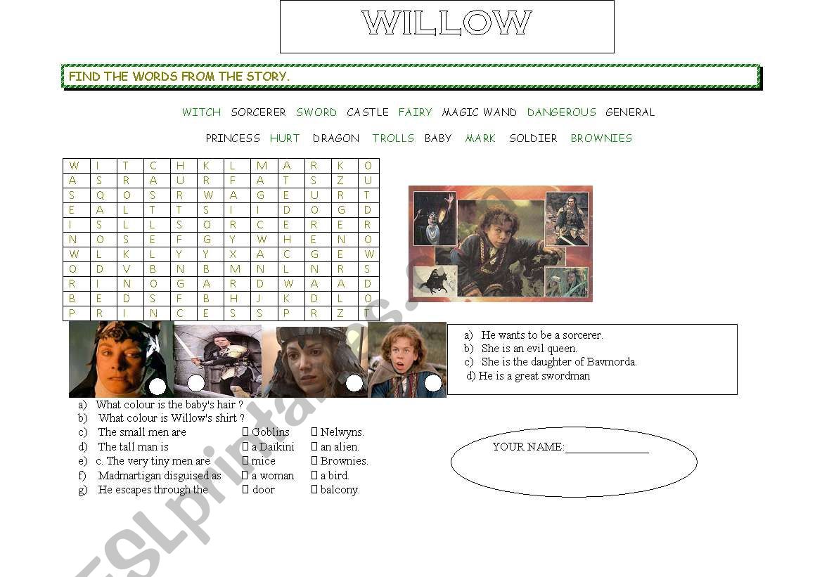 wordsearch willow worksheet