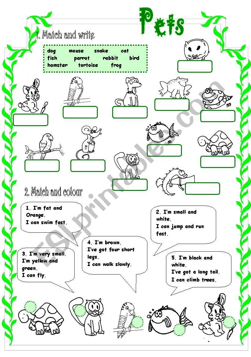 PETS (1/3) worksheet