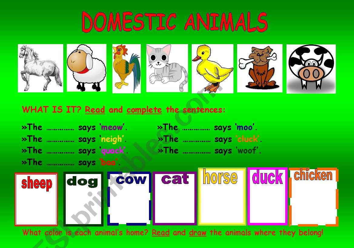 Domestic Animals (the sounds they make & revision of colours)