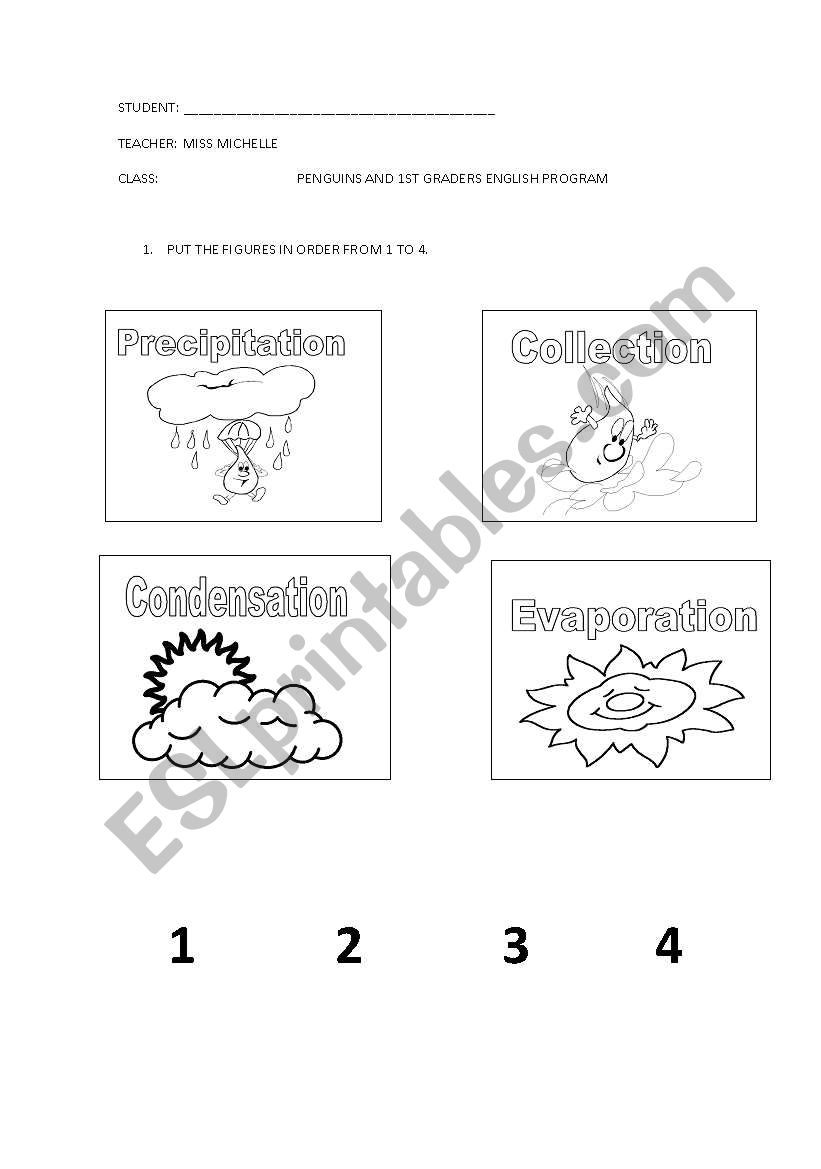 water cycle worksheet worksheet