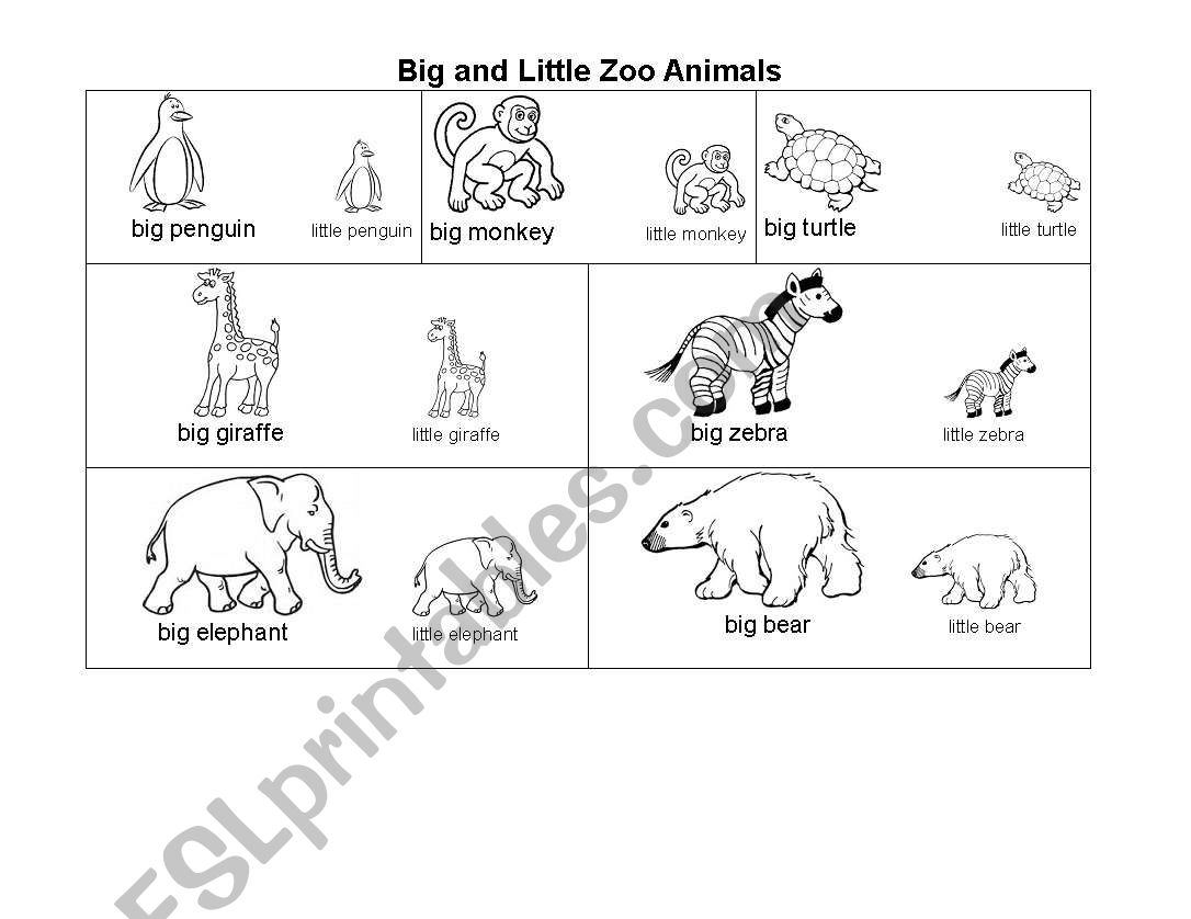Big and Little Zoo Animals - ESL worksheet by yayeba